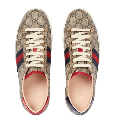 gucci sneaker price check|Gucci sneakers for men price.